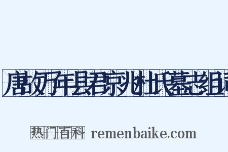 唐故万年县君京兆杜氏墓志组词是什么意思的图片